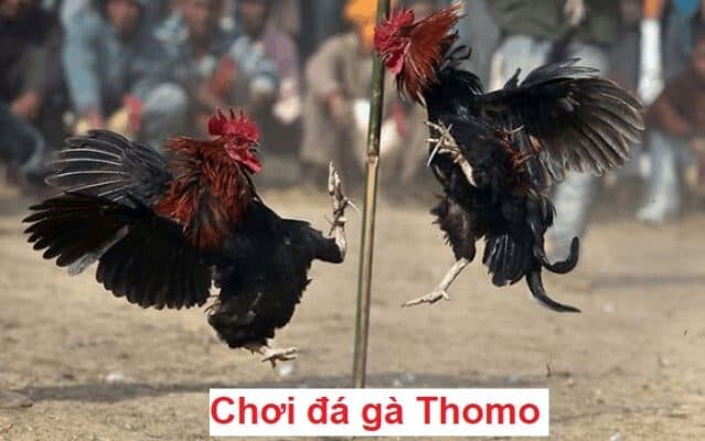 Da Ga Thomo 2