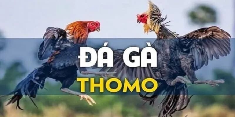 Da Ga Thomo 3